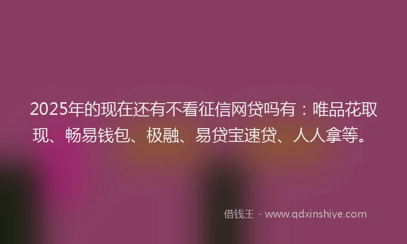 2025年的现在还有不看征信网贷吗有：唯品花取现、畅易钱包、极融、易贷宝速贷、人人拿等。