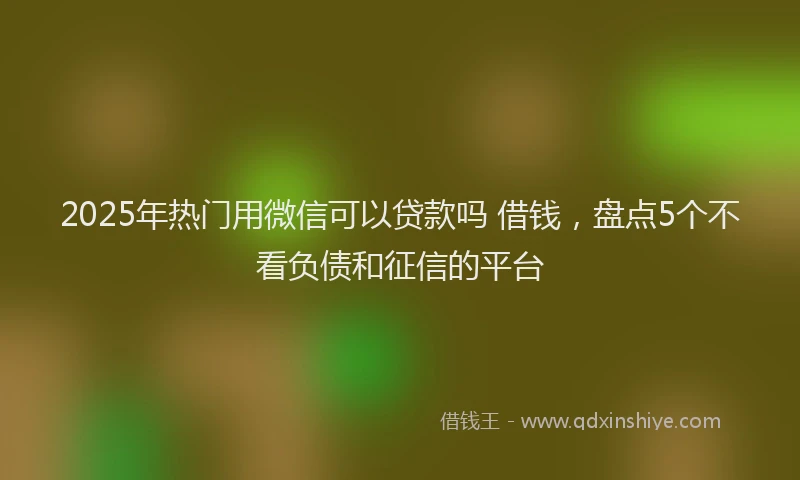 2025年热门用微信可以贷款吗 借钱，盘点5个不看负债和征信的平台