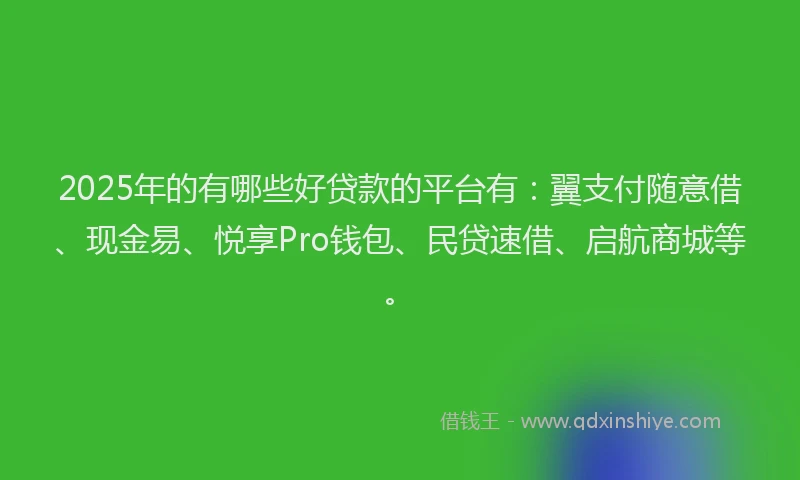 2025年的有哪些好贷款的平台有：翼支付随意借、现金易、悦享Pro钱包、民贷速借、启航商城等。