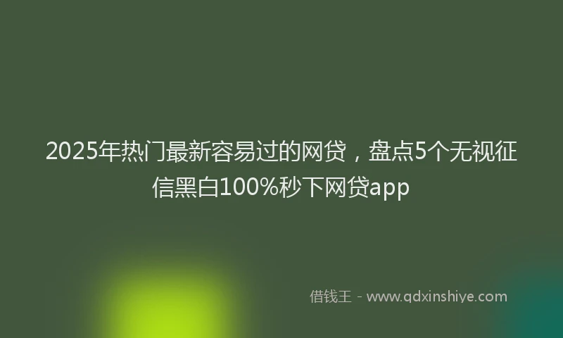 2025年热门最新容易过的网贷，盘点5个无视征信黑白100%秒下网贷app