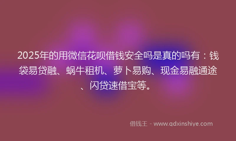 2025年的用微信花呗借钱安全吗是真的吗有：钱袋易贷融、蜗牛租机、萝卜易购、现金易融通途、闪贷速借宝等。