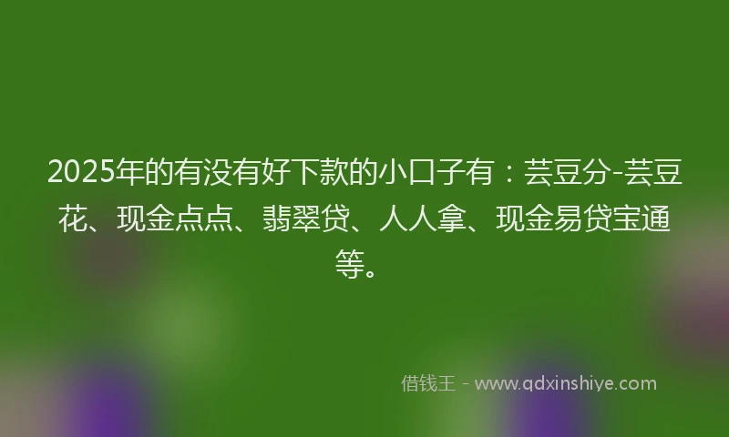 2025年的有没有好下款的小口子有：芸豆分-芸豆花、现金点点、翡翠贷、人人拿、现金易贷宝通等。