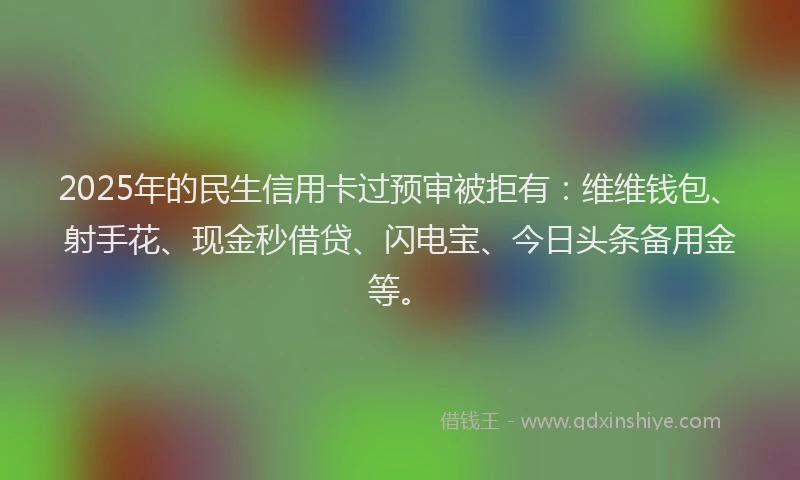 2025年的民生信用卡过预审被拒有：维维钱包、射手花、现金秒借贷、闪电宝、今日头条备用金等。