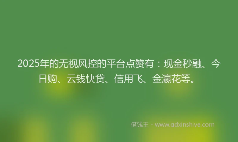 2025年的无视风控的平台点赞有：现金秒融、今日购、云钱快贷、信用飞、金瀛花等。