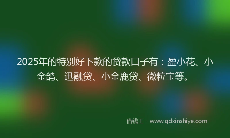 2025年的特别好下款的贷款口子有：盈小花、小金鸽、迅融贷、小金鹿贷、微粒宝等。