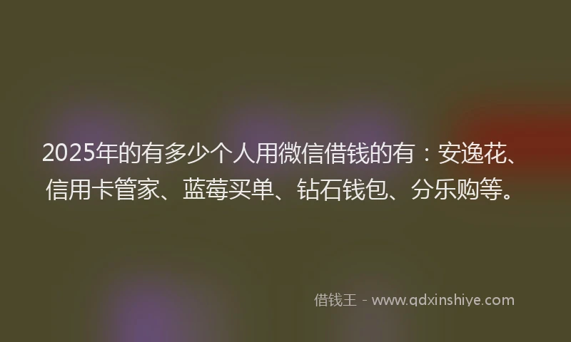 2025年的有多少个人用微信借钱的有：安逸花、信用卡管家、蓝莓买单、钻石钱包、分乐购等。