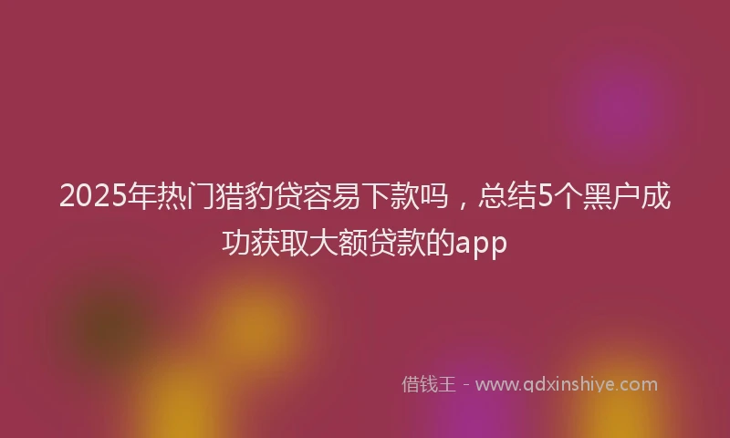 2025年热门猎豹贷容易下款吗，总结5个黑户成功获取大额贷款的app