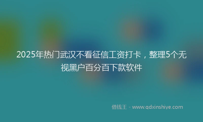 2025年热门武汉不看征信工资打卡，整理5个无视黑户百分百下款软件