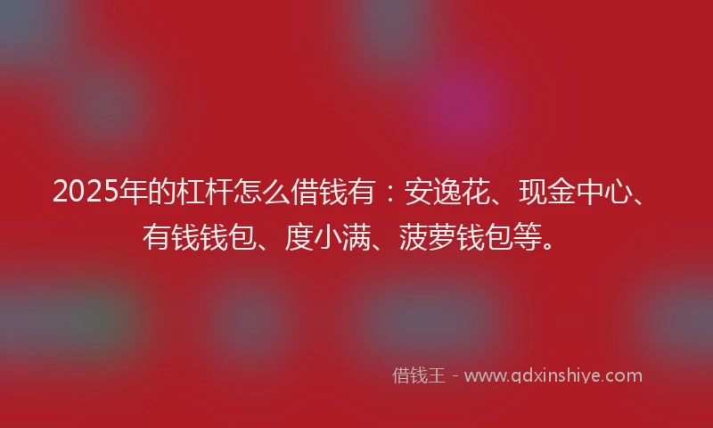 2025年的杠杆怎么借钱有：安逸花、现金中心、有钱钱包、度小满、菠萝钱包等。