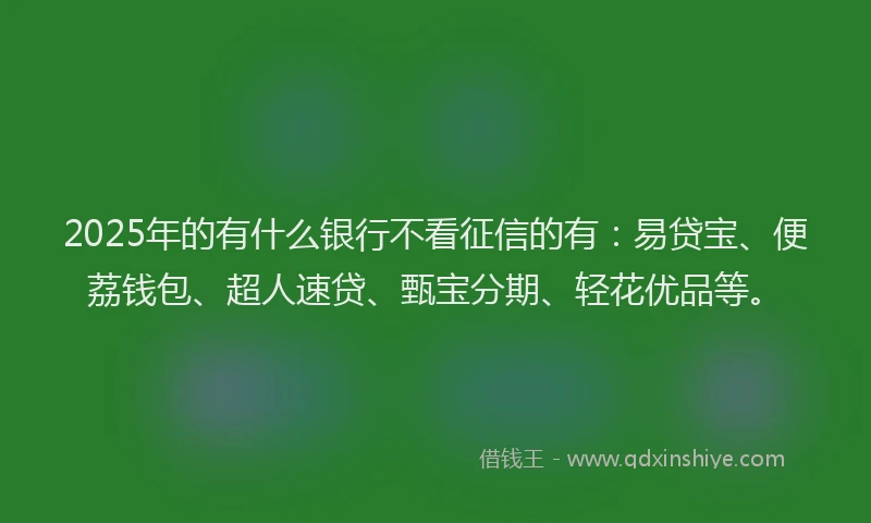 2025年的有什么银行不看征信的有：易贷宝、便荔钱包、超人速贷、甄宝分期、轻花优品等。