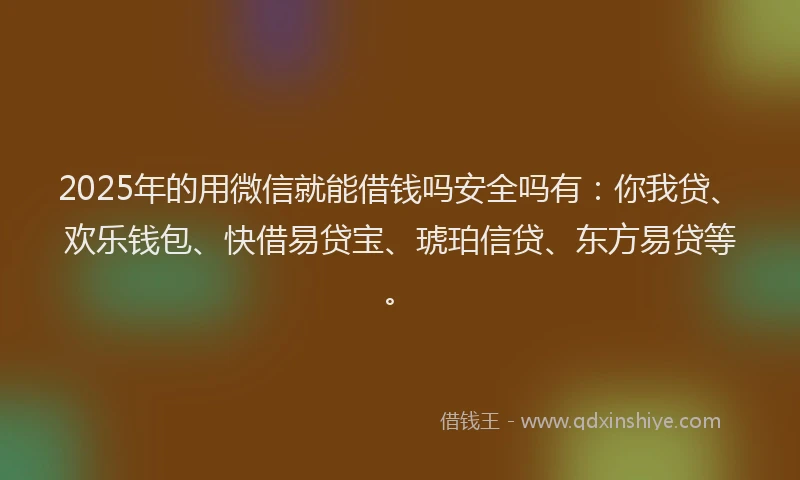 2025年的用微信就能借钱吗安全吗有：你我贷、欢乐钱包、快借易贷宝、琥珀信贷、东方易贷等。