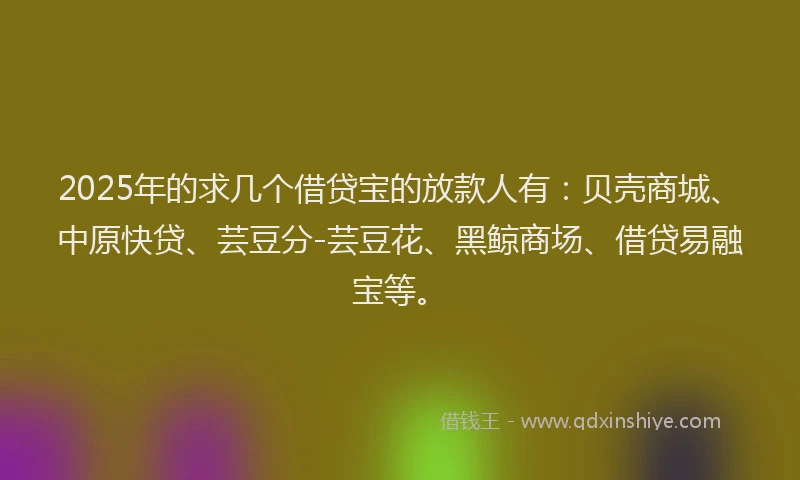 2025年的求几个借贷宝的放款人有：贝壳商城、中原快贷、芸豆分-芸豆花、黑鲸商场、借贷易融宝等。