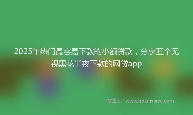 2025年热门最容易下款的小额贷款，分享五个无视黑花半夜下款的网贷app