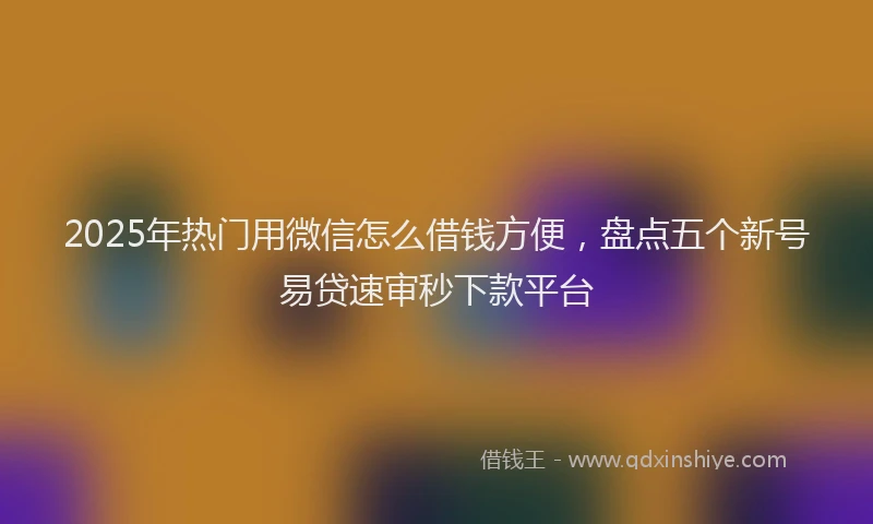 2025年热门用微信怎么借钱方便，盘点五个新号易贷速审秒下款平台