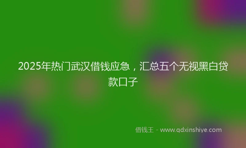 2025年热门武汉借钱应急，汇总五个无视黑白贷款口子