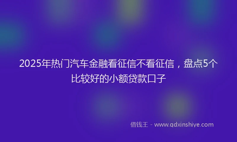 2025年热门汽车金融看征信不看征信，盘点5个比较好的小额贷款口子