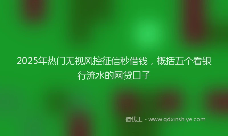 2025年热门无视风控征信秒借钱，概括五个看银行流水的网贷口子