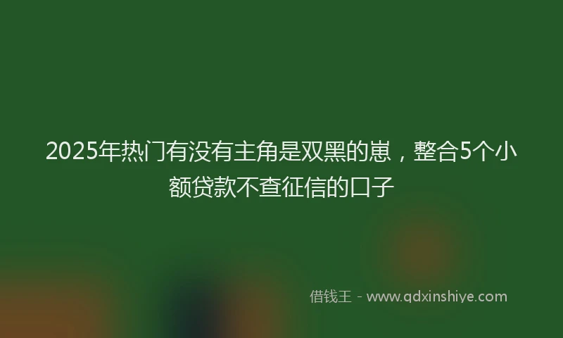 2025年热门有没有主角是双黑的崽，整合5个小额贷款不查征信的口子