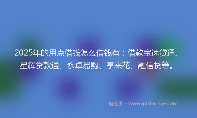 2025年的用点借钱怎么借钱有：借款宝速贷通、星辉贷款通、永卓易购、享来花、融信贷等。