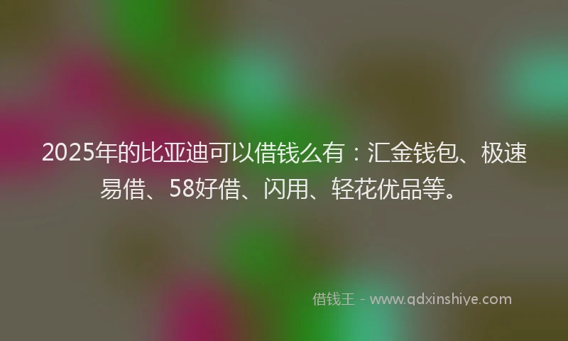 2025年的比亚迪可以借钱么有：汇金钱包、极速易借、58好借、闪用、轻花优品等。