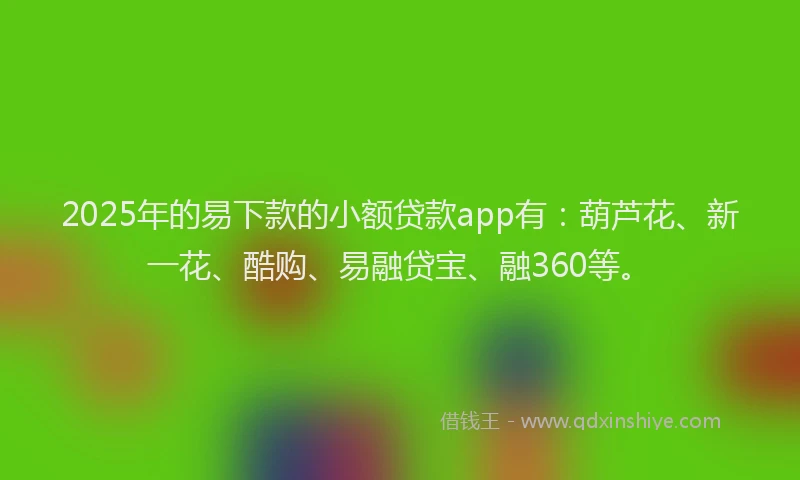 2025年的易下款的小额贷款app有：葫芦花、新一花、酷购、易融贷宝、融360等。