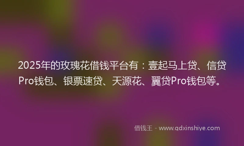 2025年的玫瑰花借钱平台有：壹起马上贷、信贷Pro钱包、银票速贷、天源花、翼贷Pro钱包等。