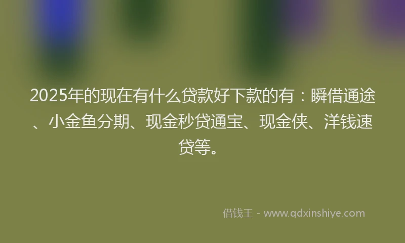 2025年的现在有什么贷款好下款的有：瞬借通途、小金鱼分期、现金秒贷通宝、现金侠、洋钱速贷等。