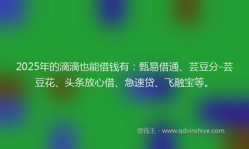 2025年的滴滴也能借钱有：甄易借通、芸豆分-芸豆花、头条放心借、急速贷、飞融宝等。