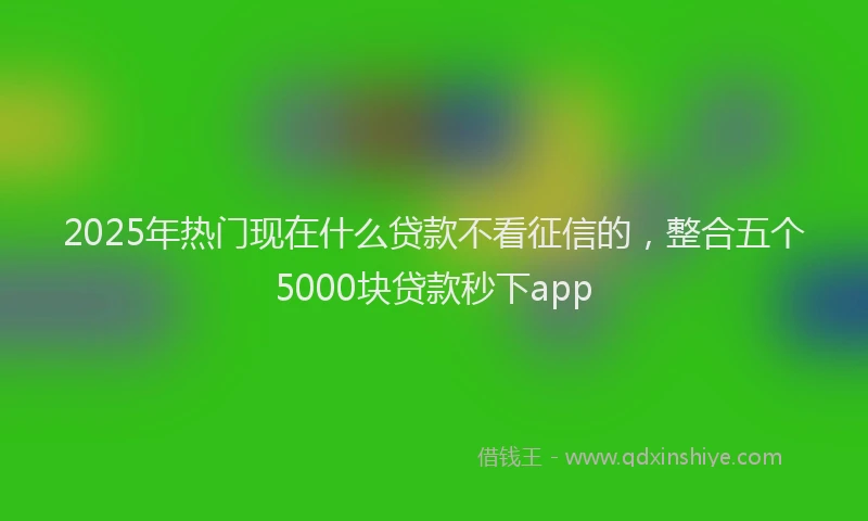 2025年热门现在什么贷款不看征信的，整合五个5000块贷款秒下app
