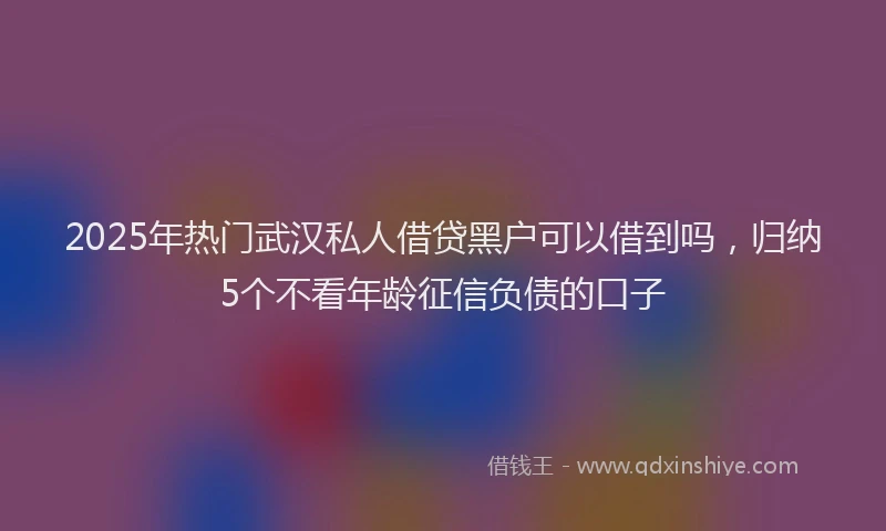 2025年热门武汉私人借贷黑户可以借到吗，归纳5个不看年龄征信负债的口子