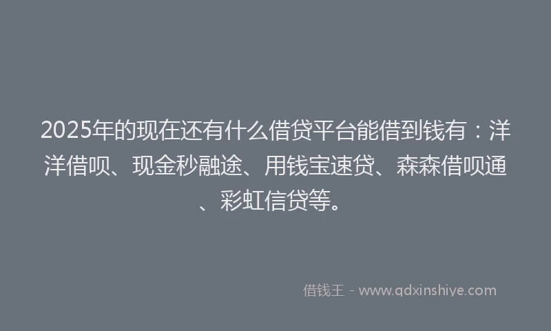 2025年的现在还有什么借贷平台能借到钱有：洋洋借呗、现金秒融途、用钱宝速贷、森森借呗通、彩虹信贷等。