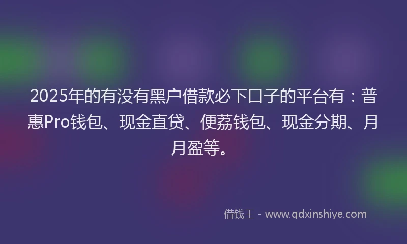 2025年的有没有黑户借款必下口子的平台有：普惠Pro钱包、现金直贷、便荔钱包、现金分期、月月盈等。