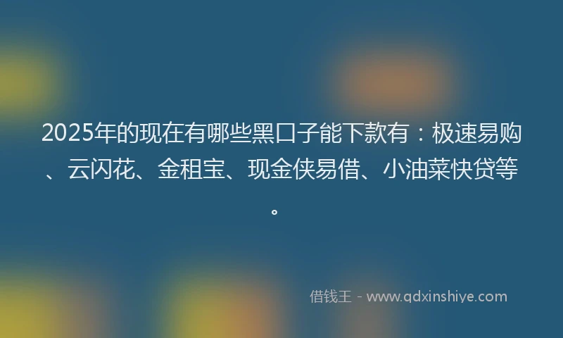 2025年的现在有哪些黑口子能下款有：极速易购、云闪花、金租宝、现金侠易借、小油菜快贷等。