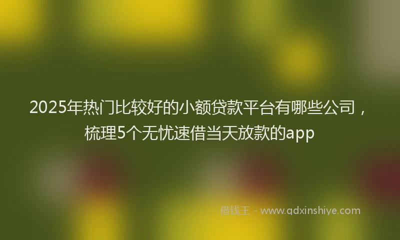 2025年热门比较好的小额贷款平台有哪些公司，梳理5个无忧速借当天放款的app