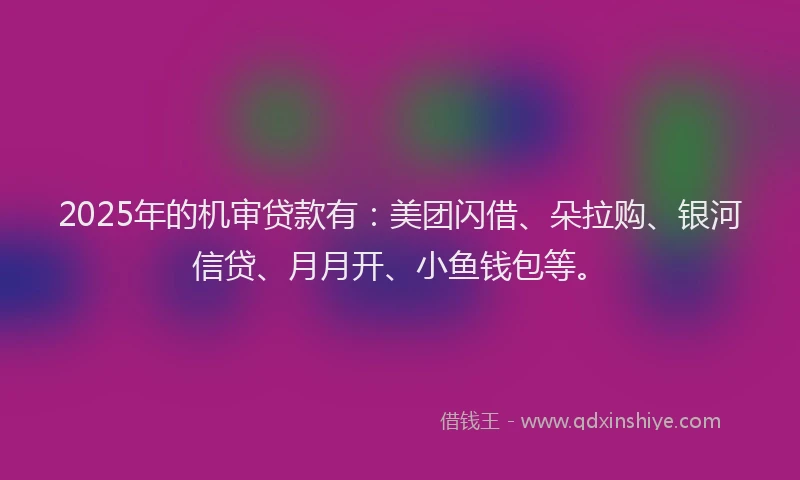 2025年的机审贷款有：美团闪借、朵拉购、银河信贷、月月开、小鱼钱包等。