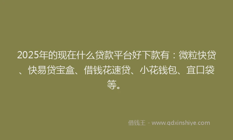 2025年的现在什么贷款平台好下款有：微粒快贷、快易贷宝盒、借钱花速贷、小花钱包、宜口袋等。