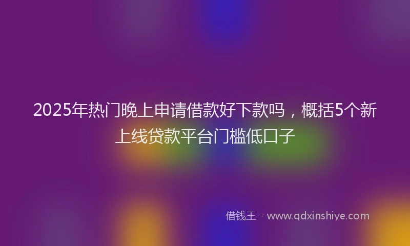2025年热门晚上申请借款好下款吗，概括5个新上线贷款平台门槛低口子