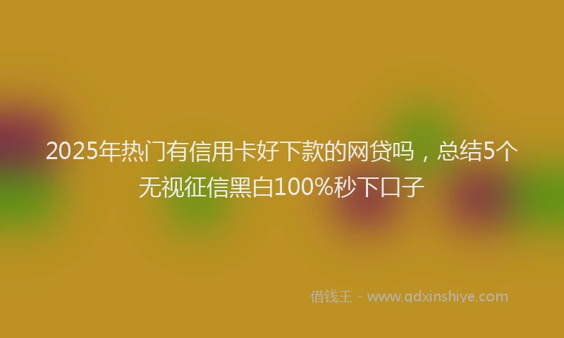 2025年热门有信用卡好下款的网贷吗，总结5个无视征信黑白100%秒下口子