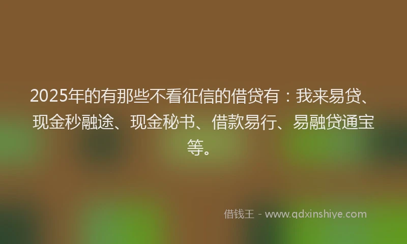 2025年的有那些不看征信的借贷有：我来易贷、现金秒融途、现金秘书、借款易行、易融贷通宝等。