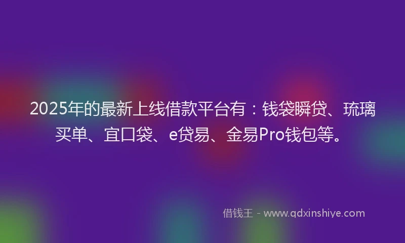 2025年的最新上线借款平台有：钱袋瞬贷、琉璃买单、宜口袋、e贷易、金易Pro钱包等。