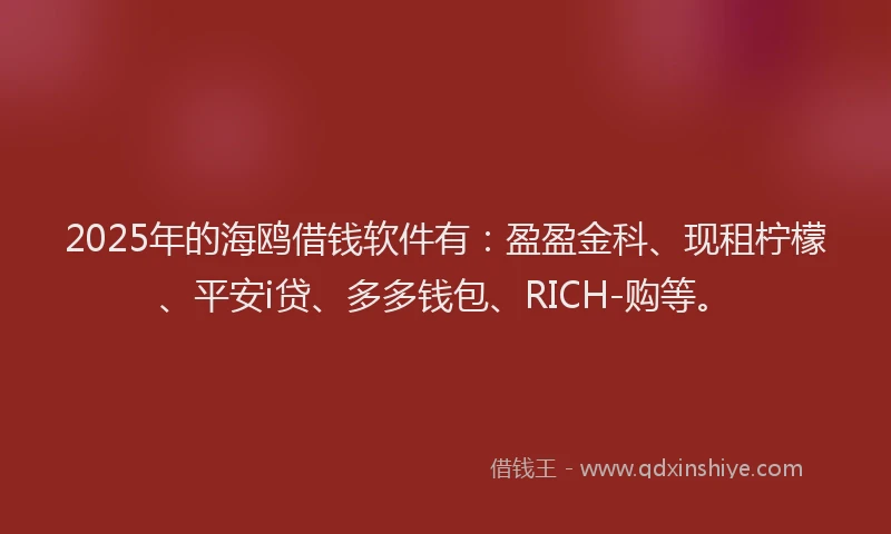 2025年的海鸥借钱软件有：盈盈金科、现租柠檬、平安i贷、多多钱包、RICH-购等。