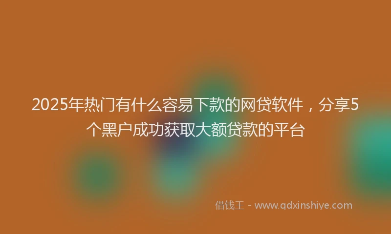 2025年热门有什么容易下款的网贷软件，分享5个黑户成功获取大额贷款的平台