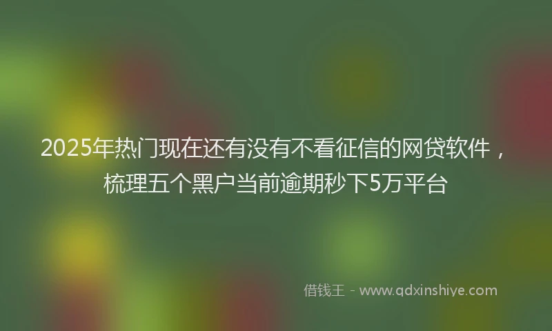 2025年热门现在还有没有不看征信的网贷软件，梳理五个黑户当前逾期秒下5万平台