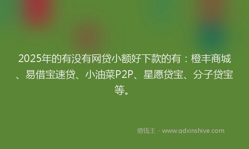 2025年的有没有网贷小额好下款的有：橙丰商城、易借宝速贷、小油菜P2P、星愿贷宝、分子贷宝等。