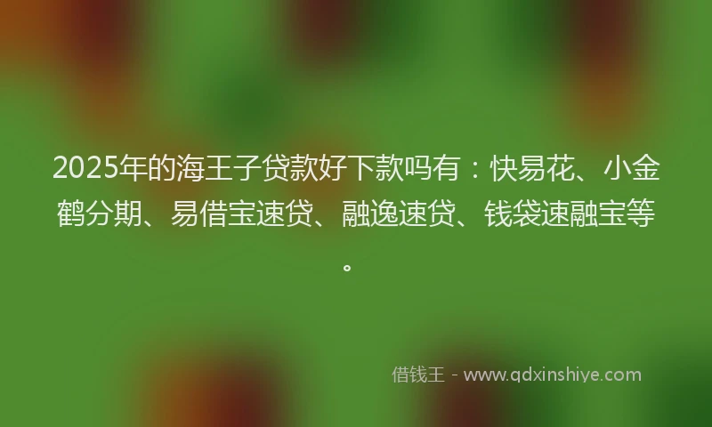 2025年的海王子贷款好下款吗有：快易花、小金鹤分期、易借宝速贷、融逸速贷、钱袋速融宝等。