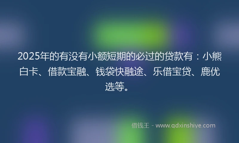 2025年的有没有小额短期的必过的贷款有：小熊白卡、借款宝融、钱袋快融途、乐借宝贷、鹿优选等。
