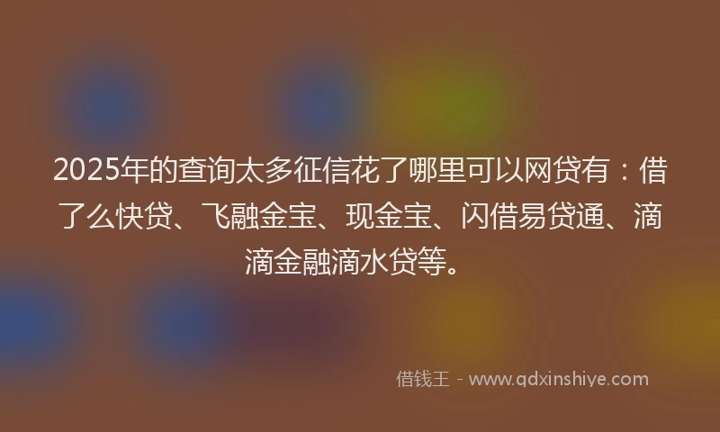 2025年的查询太多征信花了哪里可以网贷有：借了么快贷、飞融金宝、现金宝、闪借易贷通、滴滴金融滴水贷等。