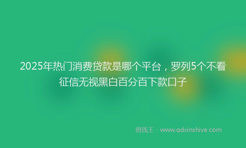 2025年热门消费贷款是哪个平台，罗列5个不看征信无视黑白百分百下款口子