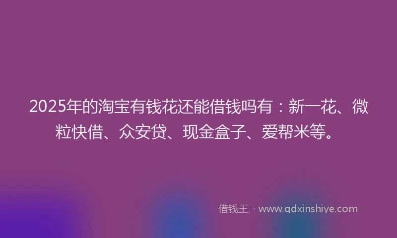 2025年的淘宝有钱花还能借钱吗有：新一花、微粒快借、众安贷、现金盒子、爱帮米等。