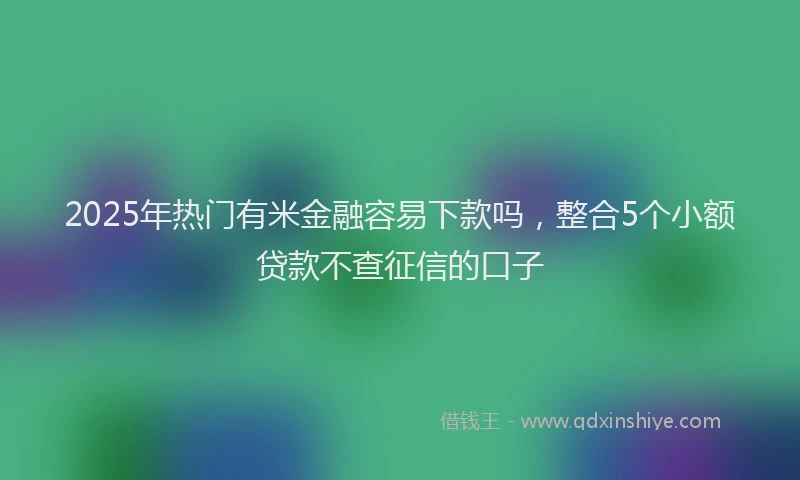 2025年热门有米金融容易下款吗，整合5个小额贷款不查征信的口子